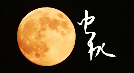 14-150R214291TN.jpg